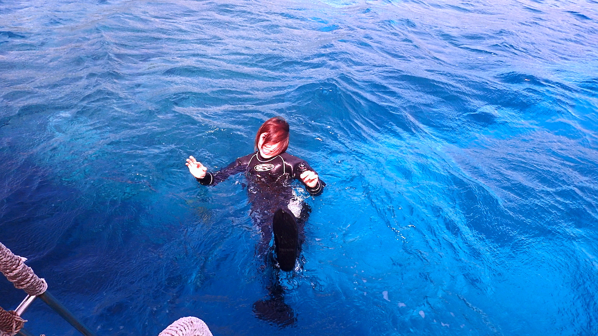 石垣島のんびりダイビング