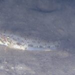 <span class="title">朝活？？早朝活！！</span>