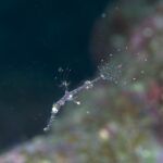 一気に寒くなりました。