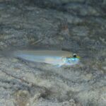 束の間の晴れ！？