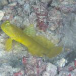 風が強いなぁ・・・・・。