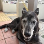 今日も笑ったなぁ🎶