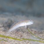 ポカポカ陽気！！