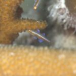 内湾でガッツリと！！