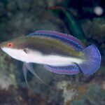 フォト合宿！！