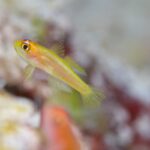 ガッツリフォト合宿。