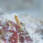 晴れました！！