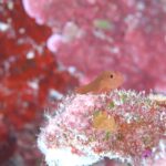 嵐の前の・・・・・！？