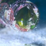 今日も笑ったなぁ🎶