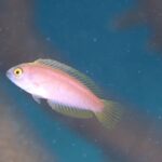 砂地でのんびりと。