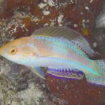 今年もありがとうございました！！