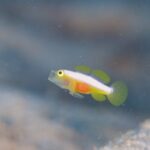 晴れると嬉しい！！