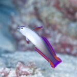 のんびり、ゆっくり🎶