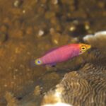 フォト合宿始まり！！