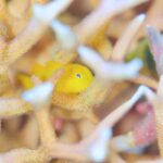 砂地でのんびりと。