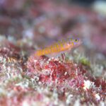 まさかの水温！？