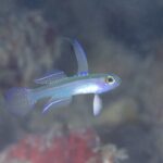 内湾は楽しいです！！