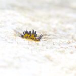 北風ビュービュー！！