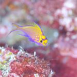 透明度抜群！！