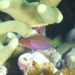 翻弄されっぱなし。