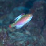 嬉しい発見いっぱい！！