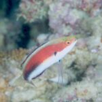 ところ変われば！？