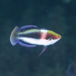 空回りなの・・・・・？？