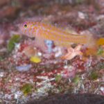 青かったなぁ！！