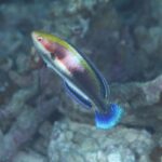 今年もよろしくお願いします！！