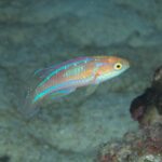 それぞれ撮りたいものを！！