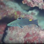 翻弄されました！！