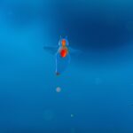 流氷は生き物ですね。