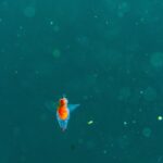 出ちゃいました！！