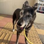 ムービーでじっくりと！！