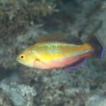 初夏ですよ！！