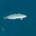 暖かいですね！！