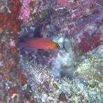 南風強いですね・・・・・。