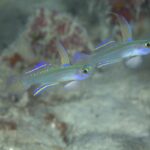 ドロドロの世界へ！！