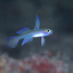 ポカポカ陽気🎶