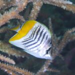 ドロドロパーク！？