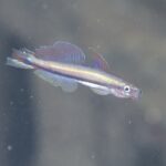 今シーズン初🎶