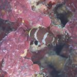 紫外線注意！！