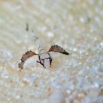 皆様のおかげで！！