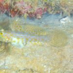 思いが強いほど・・・・・！？