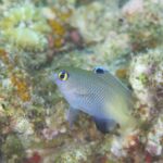 早起きは最高ですね！！