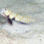 ワイワイ楽しく🎶