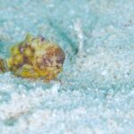 内湾でじっくりと！！