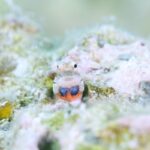 久しぶりのポイントに。