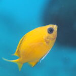 悩ましいうねり・・・・・。