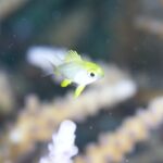 南風ビュービュー。